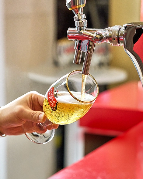 첫 맛을 환상하는 거품의 완벽한 비율 스텔라 아르투아 챌리스 잔에 생맥주를 채우고 있습니다